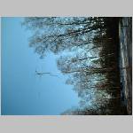 DSCF0097.JPG