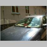 DSCF0040.JPG