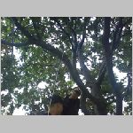 DSC00012.JPG