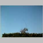 DSCF0029.JPG